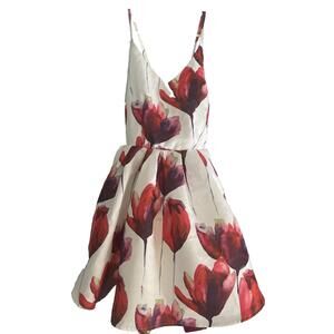 The Red Dress Boutique Floral Dress Brand New with tags Size Large NWT